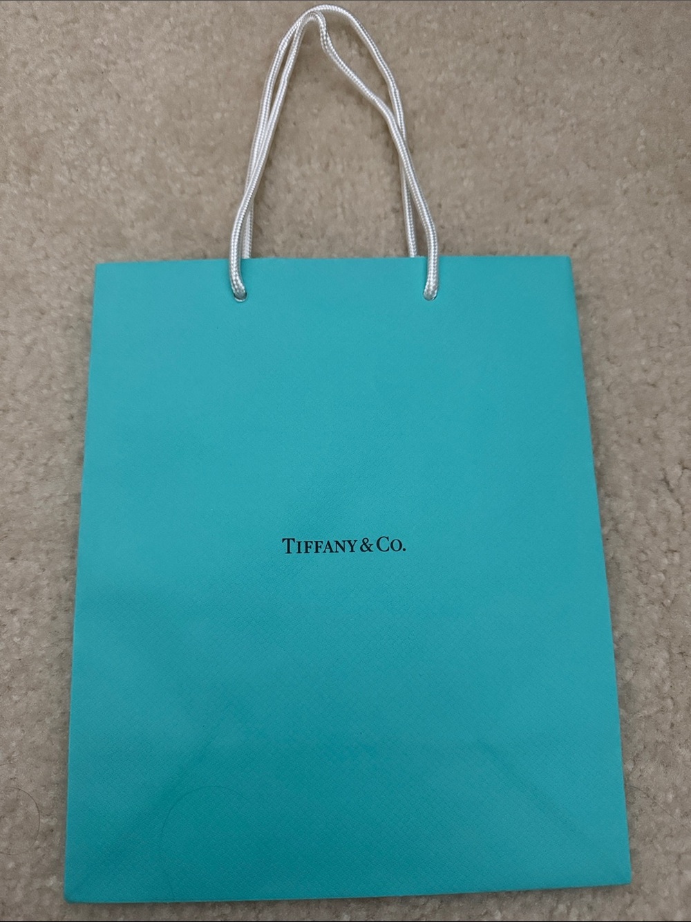 Tiffany & Co. Robin's Egg Blue Paper Tote with White Rope Handles